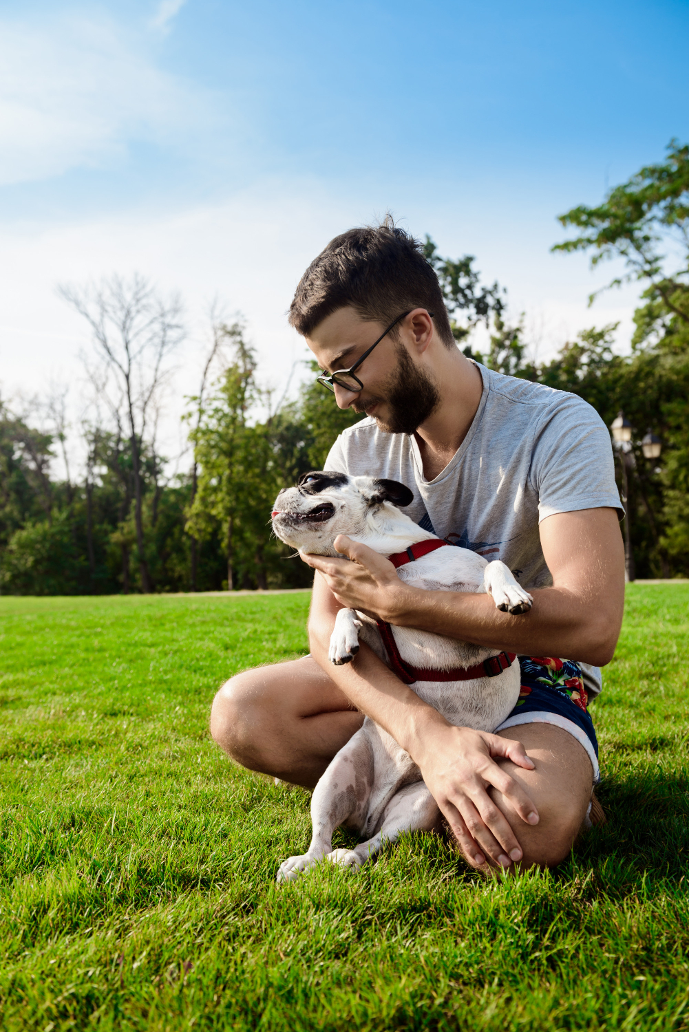 Vínculo entre humanos y animales